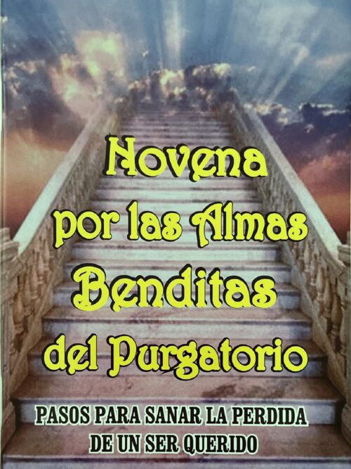 PASOS PARA SANAR LA PÉRDIDA DE UN SER QUERIDO